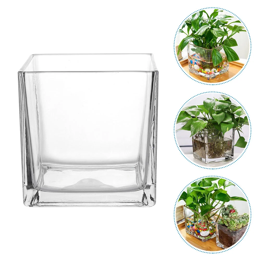Vase Plant Terrarium Flower Glass Creative Candlestick Clear Hydroponic for Office
Vase Plant Terrarium Flower Glass Creative Candlestick Clear Hydroponic for Office