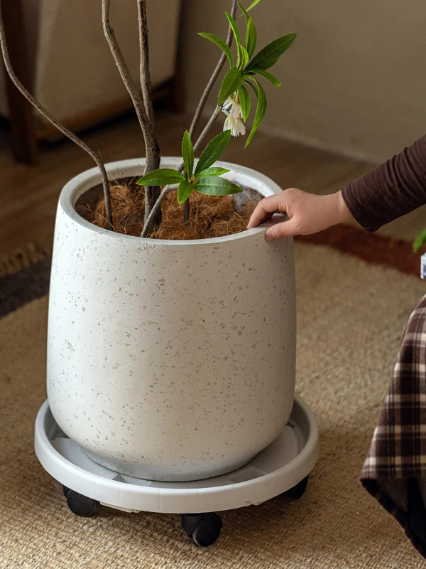 Large Size Magnesium Mud Ceramic Flower Pot Indoor Home Use round Money Tree Green Plant Large Flower Pot with Tray for Livin...
Large Size Magnesium Mud Ceramic Flower Pot Indoor Home Use round Money Tree Green Plant Large Flower Pot with Tray for Livin...