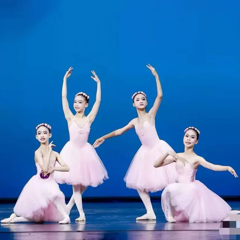 Kids Romantic Long Ballet Dress Girls Sequins Tassel Modern Dance Tutu Stage Wear Princess Costume for Children
Kids Romantic Long Ballet Dress Girls Sequins Tassel Modern Dance Tutu Stage Wear Princess Costume for Children