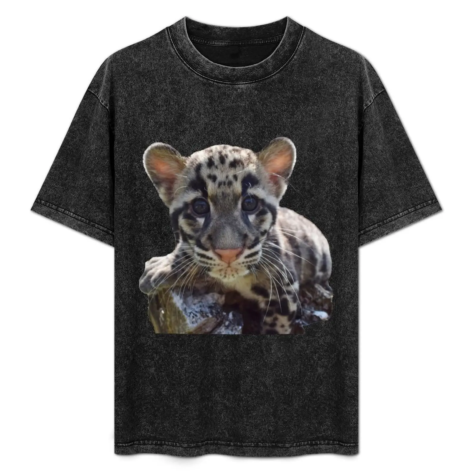 Cloudy Kitten T-Shirt Outdoor Activity Sports T-Shirt
Cloudy Kitten T-Shirt Outdoor Activity Sports T-Shirt