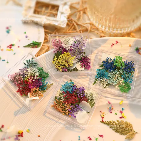 4 Boxes/Kit Real Dry Flower Nail Art Decorations Irregular Shape Small Floral Boxed Ornaments For DIY Crafts Manicure Accessorie
