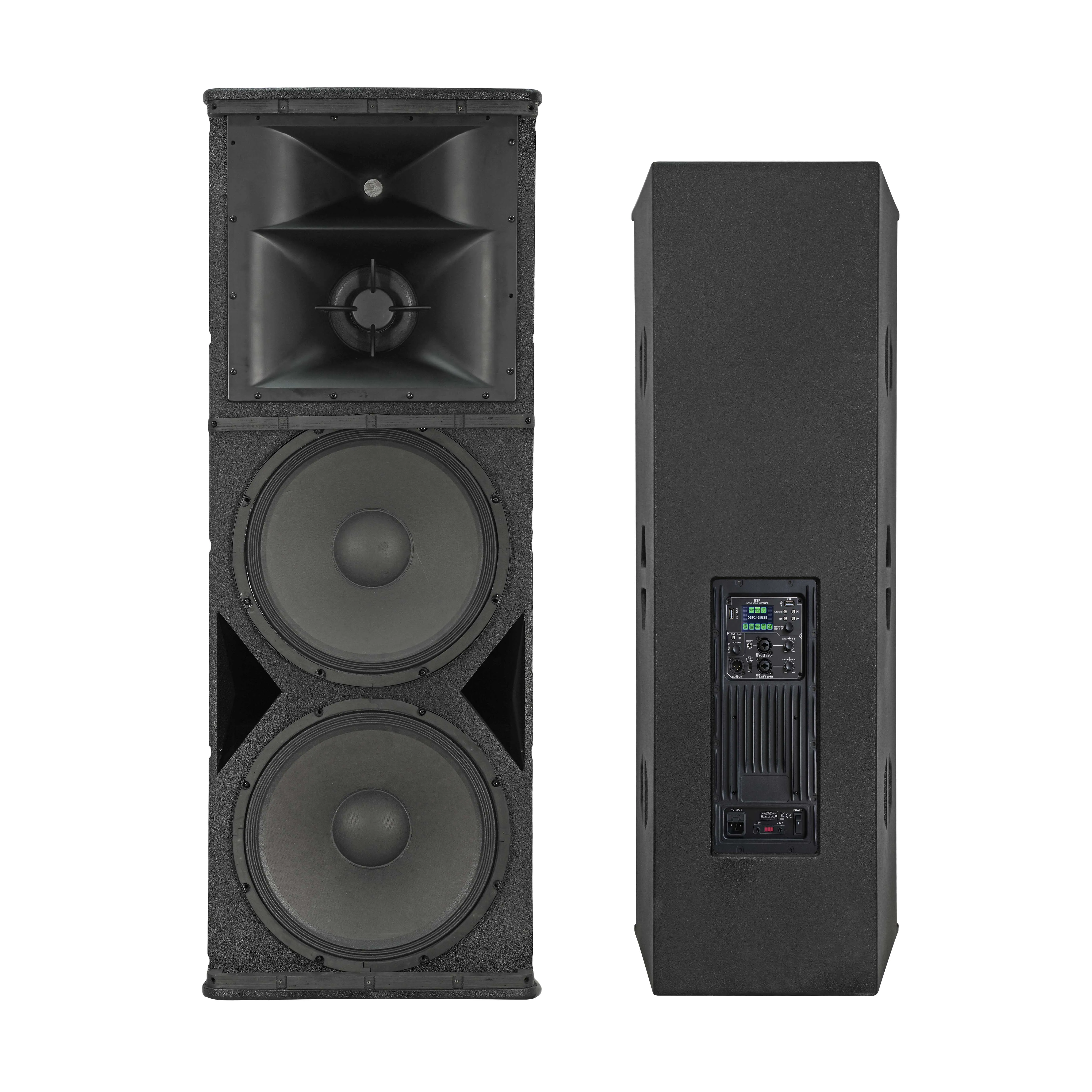Dual 15" 3-Way Powered PA Loudspeaker Wooden Cabinet DSP TWS USB Input High Performance DJ Club Sound System
Dual 15" 3-Way Powered PA Loudspeaker Wooden Cabinet DSP TWS USB Input High Performance DJ Club Sound System