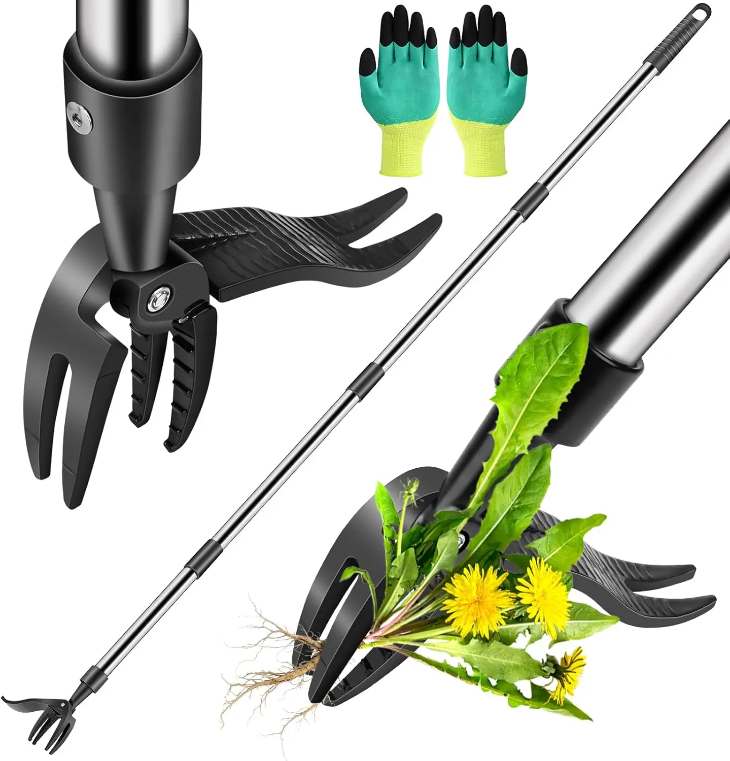 Weed Puller Tool, Stand Up Weed Remover Tool with Long Handle, 4 Claw Steel Head Weeder Tool with 4-Sectioal Pole Design, Garden Hand Weeding Tool, Smoothly Remove Weeds Without Kneeling
Weed Puller Tool, Stand Up Weed Remover Tool with Long Handle, 4 Claw Steel Head Weeder Tool with 4-Sectioal Pole Design, Garden Hand Weeding Tool, Smoothly Remove Weeds Without Kneeling
