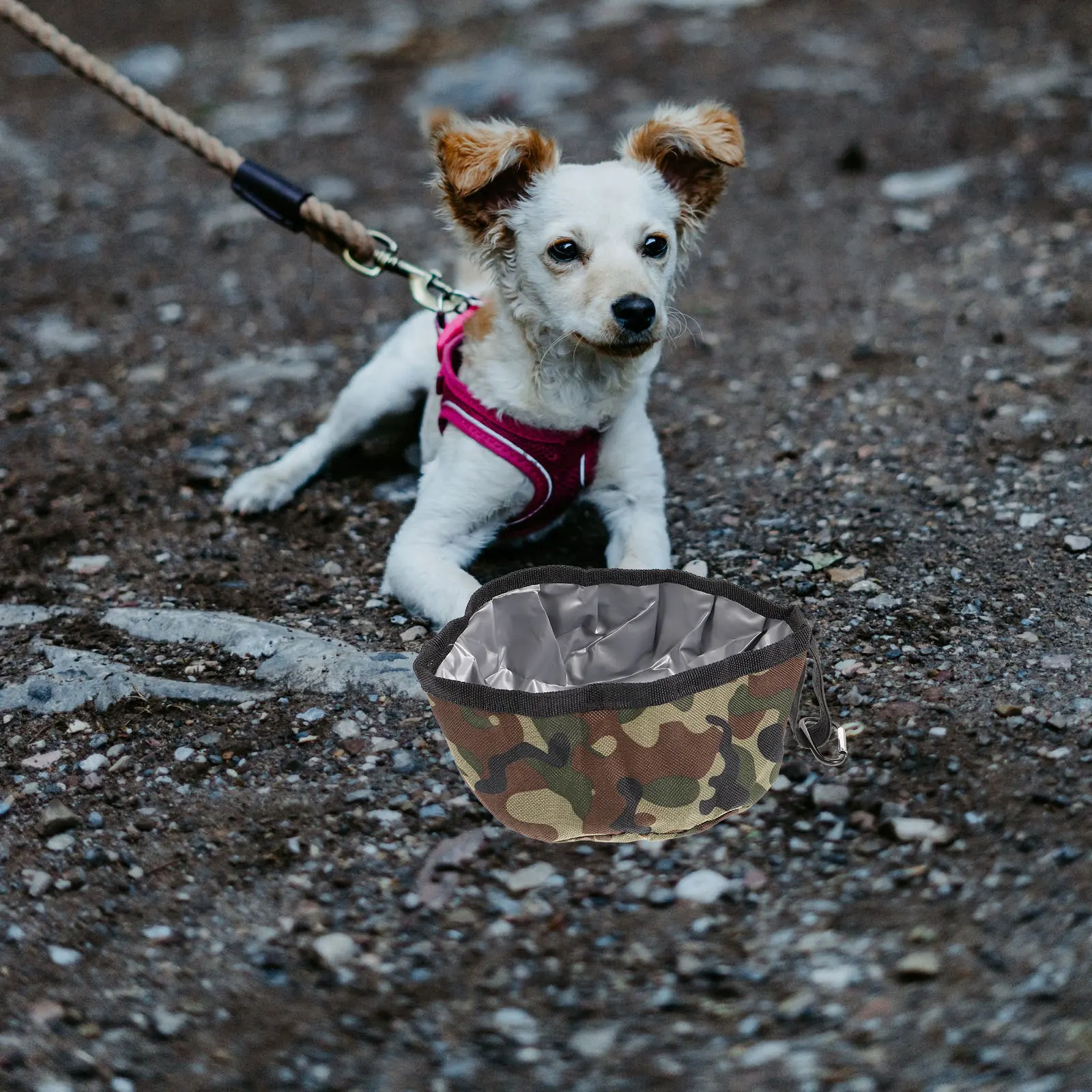 Folding Pet Bowl Oxford Cloth Waterproof Durable Portable Dog Puppy Cat Travel Snacks Bowls Small Pets Easy Clean
Folding Pet Bowl Oxford Cloth Waterproof Durable Portable Dog Puppy Cat Travel Snacks Bowls Small Pets Easy Clean