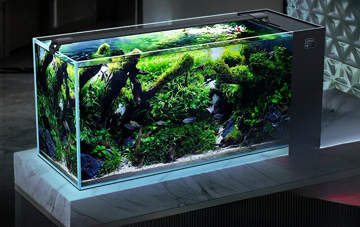 Side Filter Super White Full Set Medium and Large Living Room Home Shoe Cabinet Screen Ecological Aquarium
Side Filter Super White Full Set Medium and Large Living Room Home Shoe Cabinet Screen Ecological Aquarium