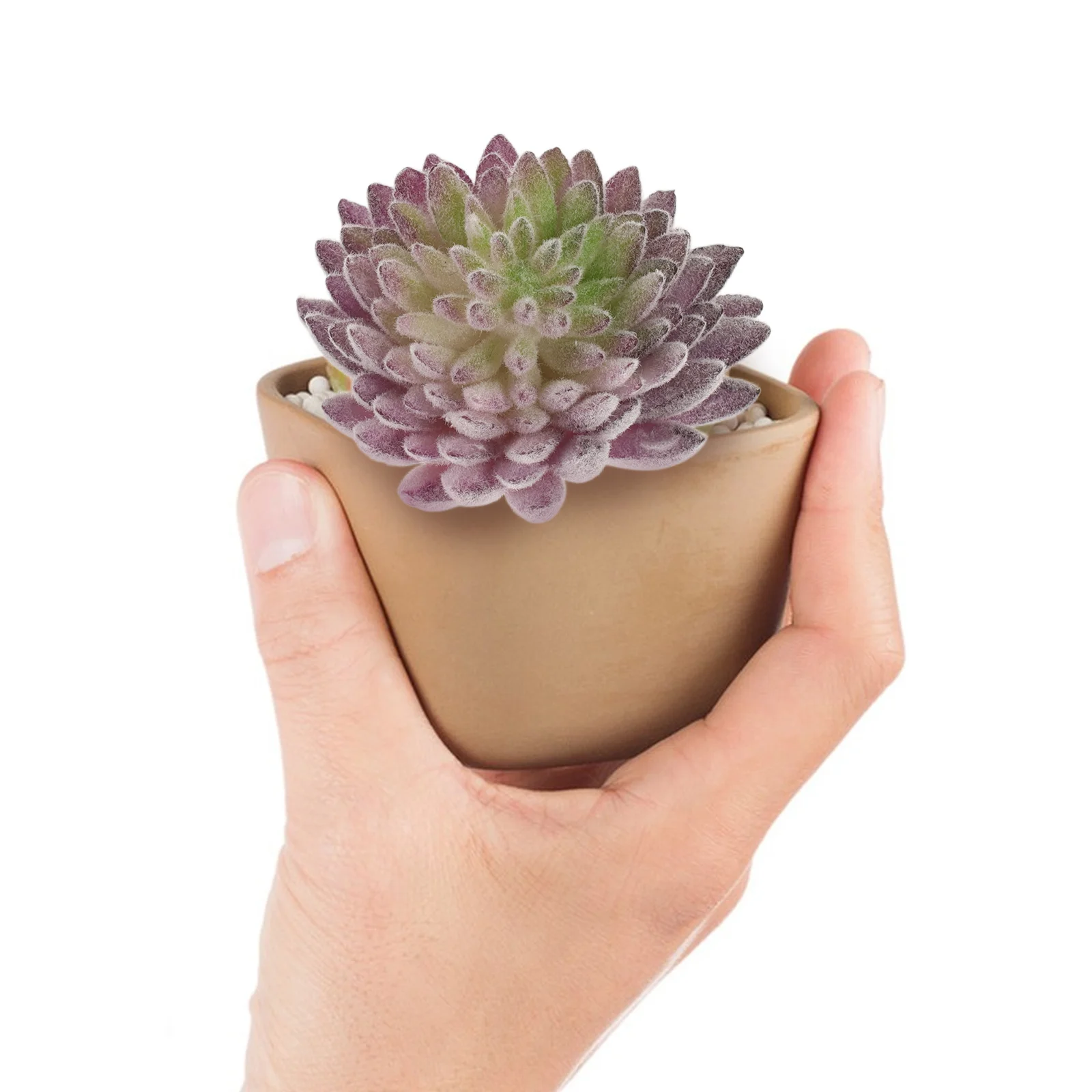 14pcs Artificial Succulent Plants Decor Realistic Unpotted Simulation For Diy Arrangement Fake Greenery Indoor Living Room 
14pcs Artificial Succulent Plants Decor Realistic Unpotted Simulation For Diy Arrangement Fake Greenery Indoor Living Room