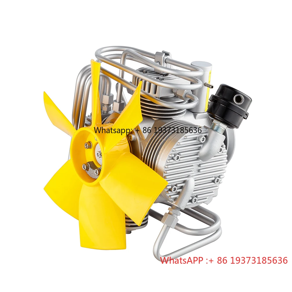 Cheap Direct Drive Piston Portable 300bar air Compressor scuba Pump Manufacturers
Cheap Direct Drive Piston Portable 300bar air Compressor scuba Pump Manufacturers