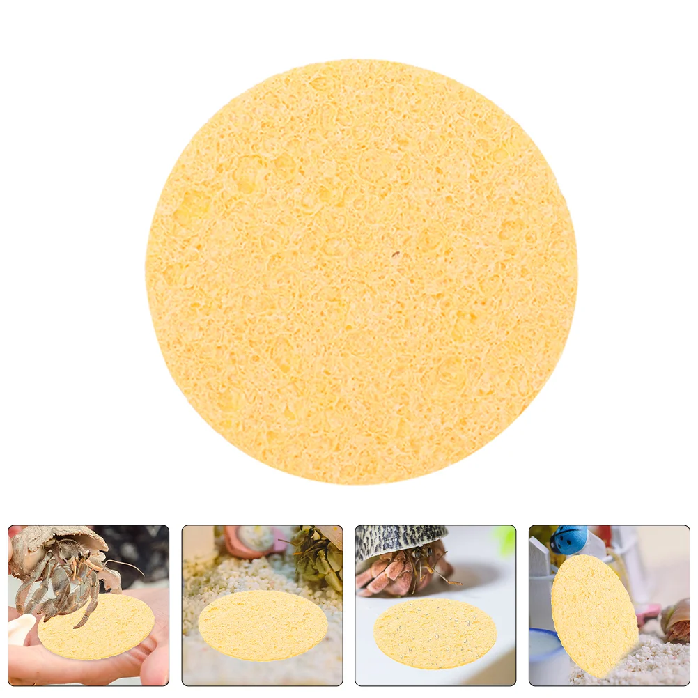 10pcs Hermit Crab Sponges Round Fish Tank Humidity Sponges Natural Sea Sponge For Water Dish Compact Multi-Functional Sponges
10pcs Hermit Crab Sponges Round Fish Tank Humidity Sponges Natural Sea Sponge For Water Dish Compact Multi-Functional Sponges