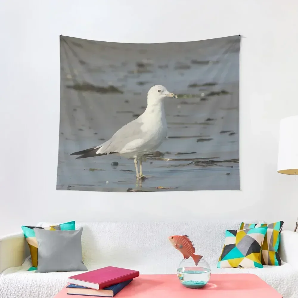 Gansett Gull Tapestry Decoration Pictures Room Wall Funny Wall Decoration Items Bedroom Decor Aesthetic Tapestry
Gansett Gull Tapestry Decoration Pictures Room Wall Funny Wall Decoration Items Bedroom Decor Aesthetic Tapestry