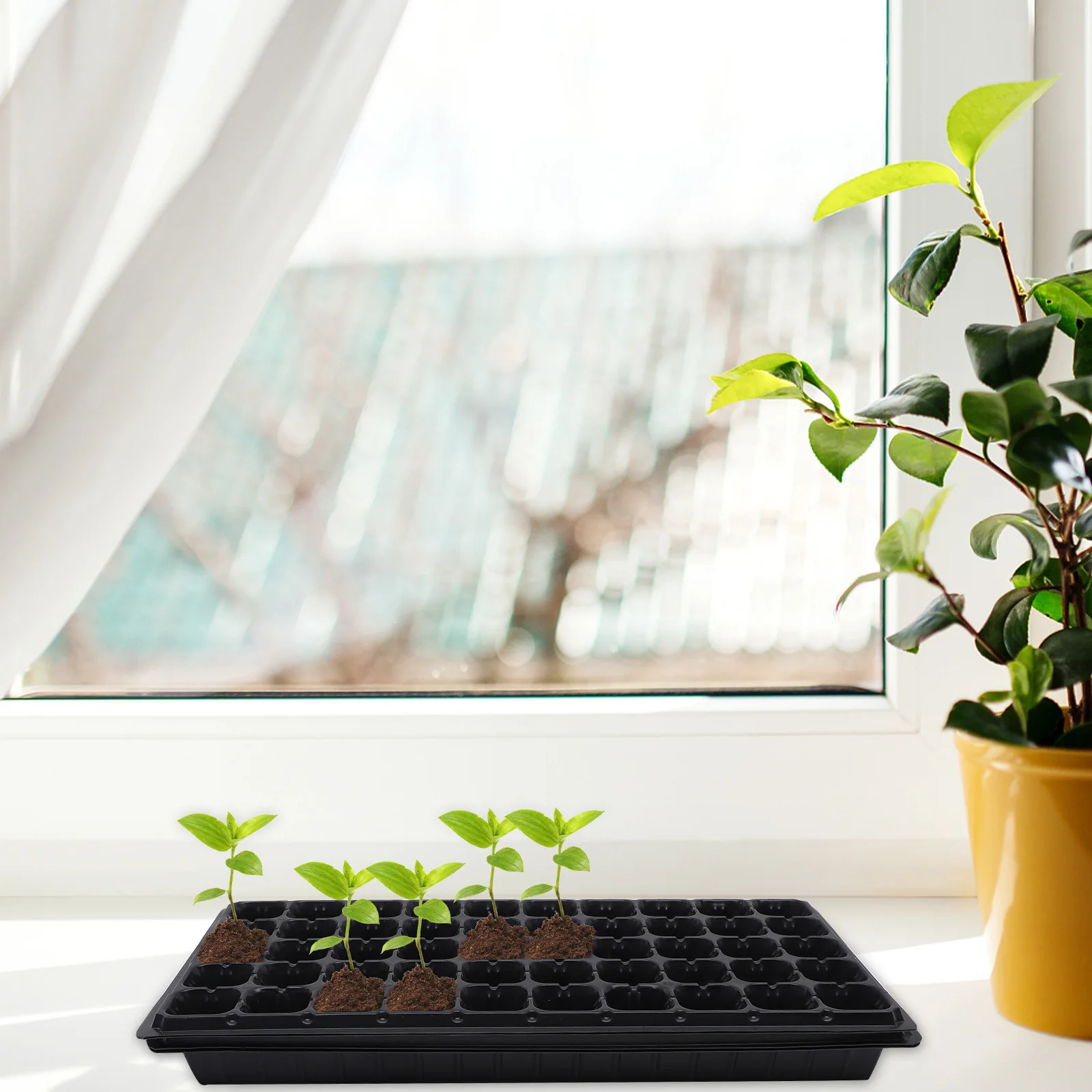 4Pcs Nursery Trays Simple Low Key Appearance Garden Greenhouse Accessory Time Saving Effortless Growing Germination Tray
4Pcs Nursery Trays Simple Low Key Appearance Garden Greenhouse Accessory Time Saving Effortless Growing Germination Tray