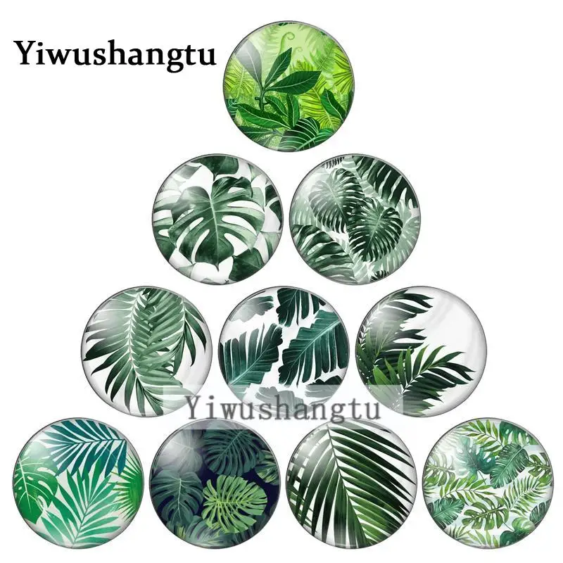 green leaves vitality vigor Up young 8/10mm/12mm/18mm/20mm/25mm Round photo glass cabochon demo flat back Making findings ZB0543
green leaves vitality vigor Up young 8/10mm/12mm/18mm/20mm/25mm Round photo glass cabochon demo flat back Making findings ZB0543