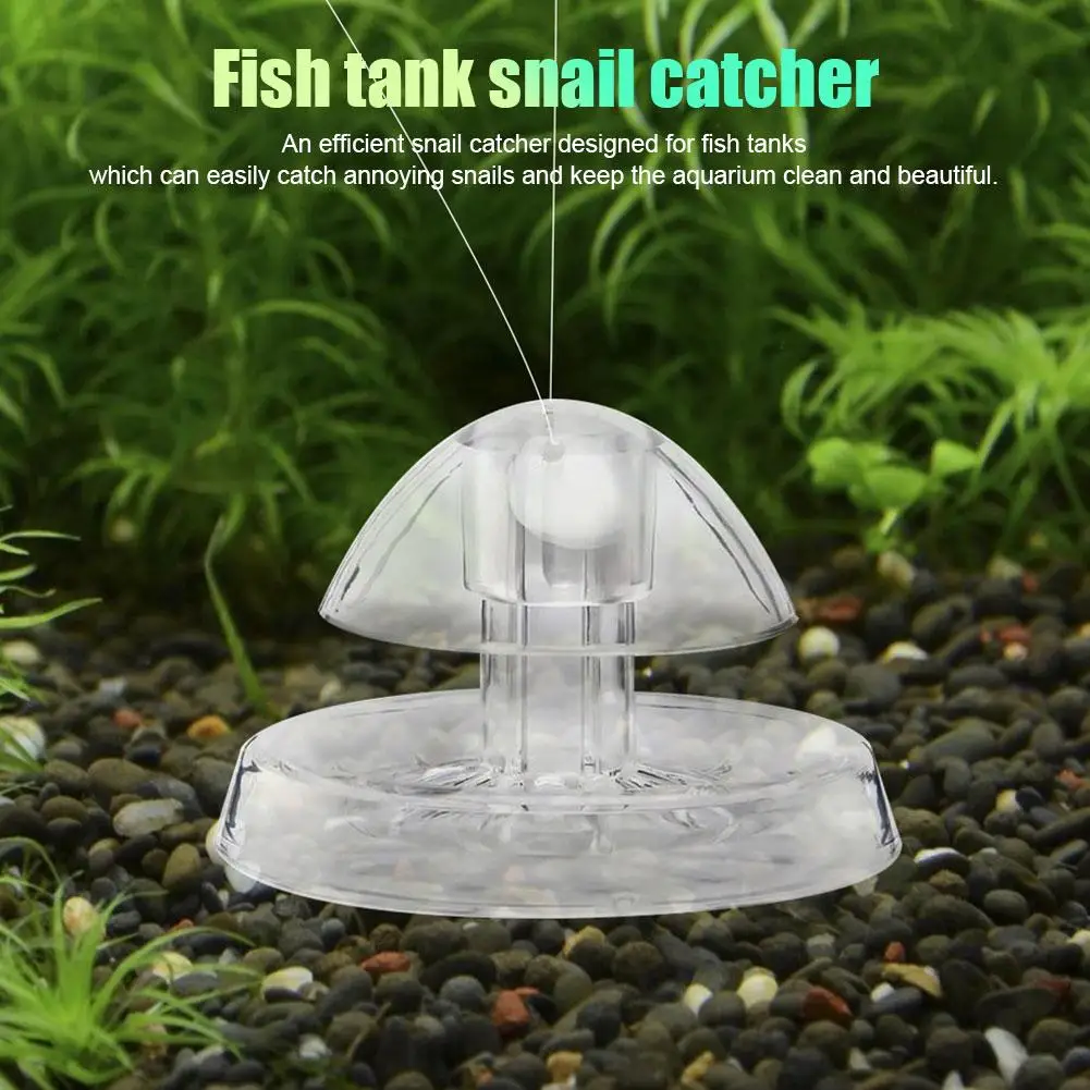 Fish Tank Accessories Aquarium Plant Snail Trap Catcher Cleaning Leech Catch Tank Pest Aquarium Plastic Box Planaria Fish T E3C1
Fish Tank Accessories Aquarium Plant Snail Trap Catcher Cleaning Leech Catch Tank Pest Aquarium Plastic Box Planaria Fish T E3C1