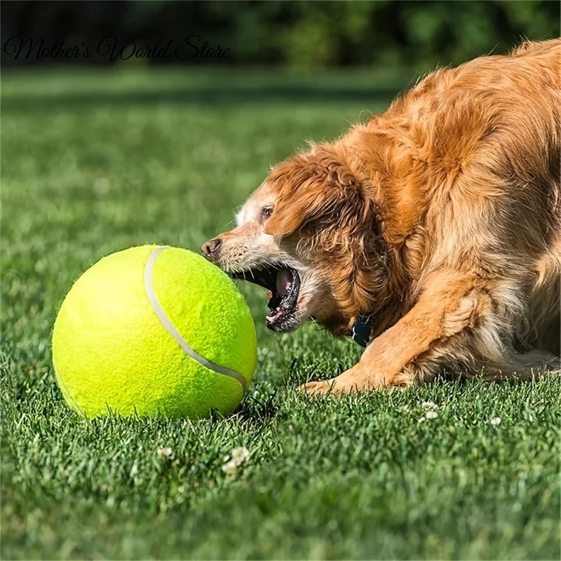9.5Inch Giant Tennis Ball Pet Inflatable Toy for Dog Training Ball 24cm Large Tennis Ball with Air Pump Interactive Dog Toys 
9.5Inch Giant Tennis Ball Pet Inflatable Toy for Dog Training Ball 24cm Large Tennis Ball with Air Pump Interactive Dog Toys