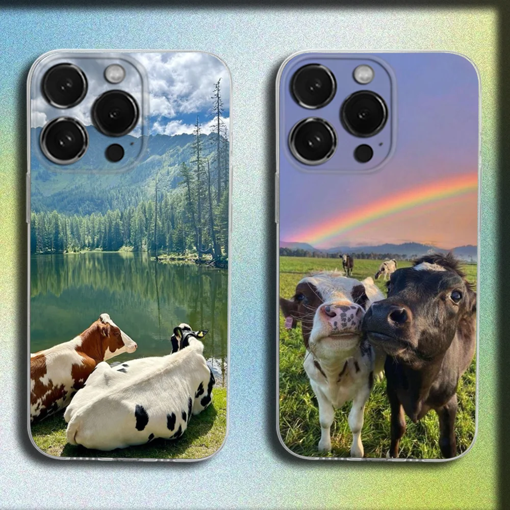 Lovely Cute Cow Cows OX Phone Case For iPhone 16,15,14,13,12,11 Plus,Pro,Max,XR,XS,Plus,E,Mini Transparent Soft Cover
Lovely Cute Cow Cows OX Phone Case For iPhone 16,15,14,13,12,11 Plus,Pro,Max,XR,XS,Plus,E,Mini Transparent Soft Cover