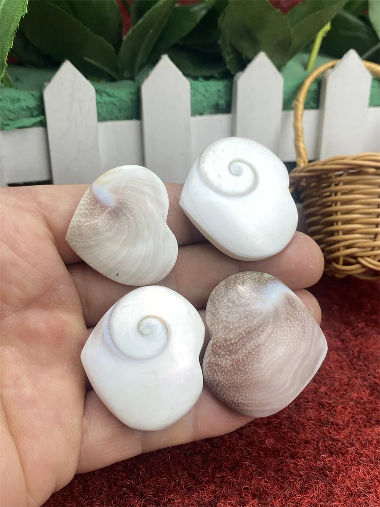 3pc/5pc/10pc 3cmNatural Mineral Sun Shell Heart-shaped Specimen Healing Reiki Crystal Decoration Room Bonsai Ornaments Aquarium
3pc/5pc/10pc 3cmNatural Mineral Sun Shell Heart-shaped Specimen Healing Reiki Crystal Decoration Room Bonsai Ornaments Aquarium