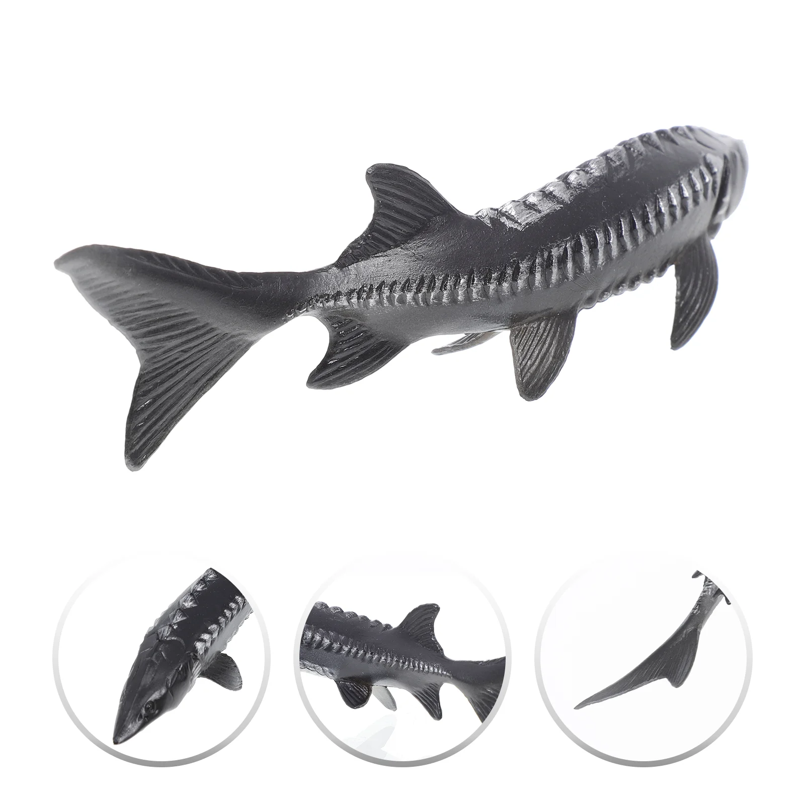 Kids Bath for Simulated Chinese Sturgeon Toys Fake Model Sea Animals Pvc Simulation Marine Toddler
Kids Bath for Simulated Chinese Sturgeon Toys Fake Model Sea Animals Pvc Simulation Marine Toddler