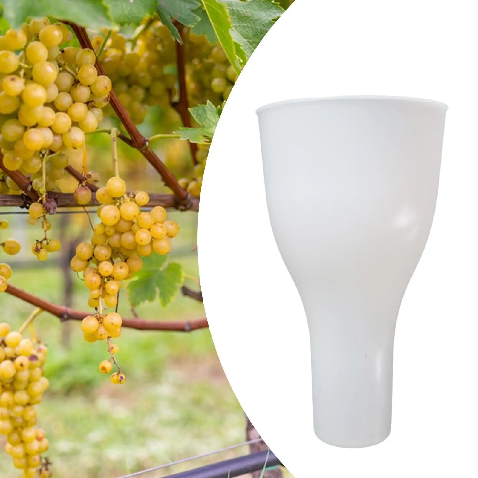 Grape Dipping Cup Gardening Tool Portable Professional Practical for Orchard, Farm, Garden Accessory Keep Grapes from Damage
Grape Dipping Cup Gardening Tool Portable Professional Practical for Orchard, Farm, Garden Accessory Keep Grapes from Damage