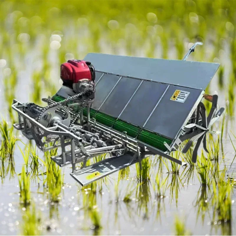 High Efficiency Paddy Rice Transplanter 4 6 8 Rows Planting Machine For Sale