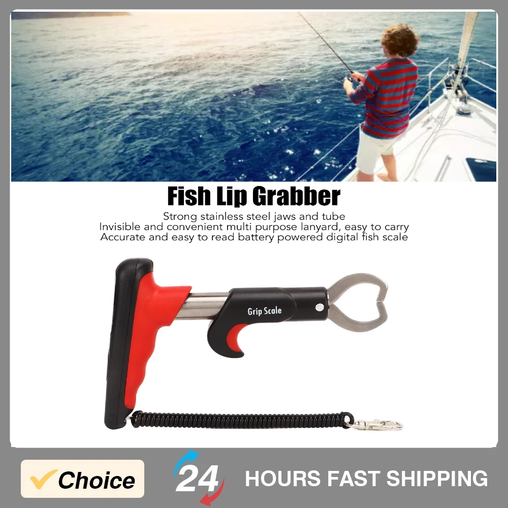 Рыболовный инструмент для захвата рыбьей чешуи с цифровой шкалой, максимальная способность 25 кг, идеально подходит для пресной воды, соленой воды
Рыболовный инструмент для захвата рыбьей чешуи с цифровой шкалой, максимальная способность 25 кг, идеально подходит для пресной воды, соленой воды