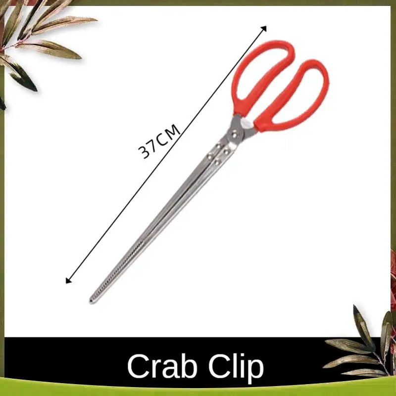 Reliable-Beach Sand Sieve, Shell Shovel Rock Shovel With Shell Collecting Bag - Beach Shovel And Sieve Tools,Sea-Hunting Tools
Reliable-Beach Sand Sieve, Shell Shovel Rock Shovel With Shell Collecting Bag - Beach Shovel And Sieve Tools,Sea-Hunting Tools