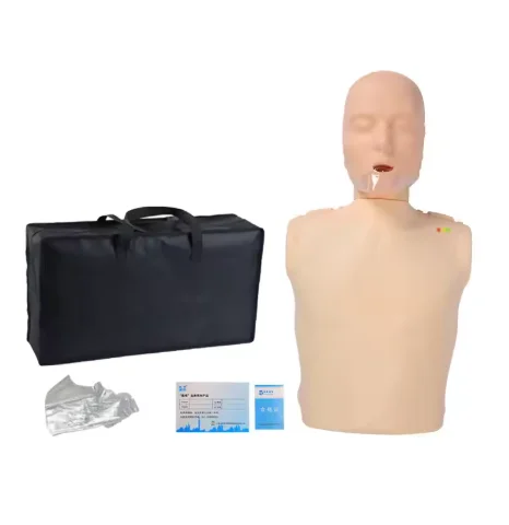 Human Body Model for Cardiopulmonary Resuscitation Simulation Training - Half-Body Manikin for CPR Training
Human Body Model for Cardiopulmonary Resuscitation Simulation Training - Half-Body Manikin for CPR Training