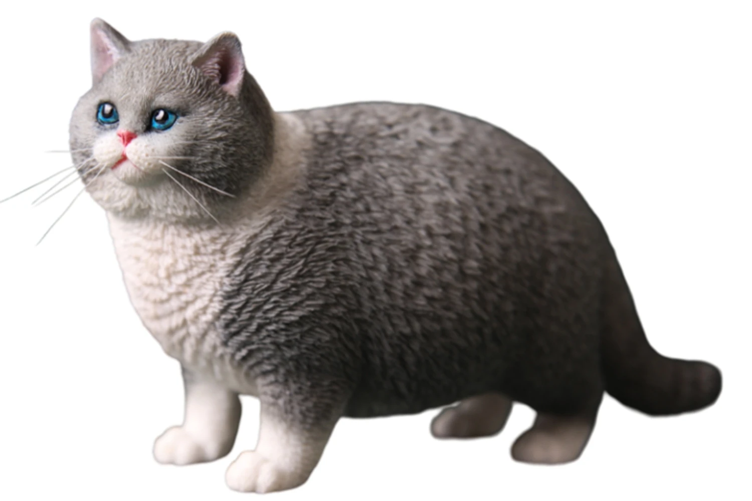 HiPlay JXK Cat British Shorthair Cat Expertly Hand-Painted Lifelike Safe Resin 1:6 Animal Figurine
HiPlay JXK Cat British Shorthair Cat Expertly Hand-Painted Lifelike Safe Resin 1:6 Animal Figurine