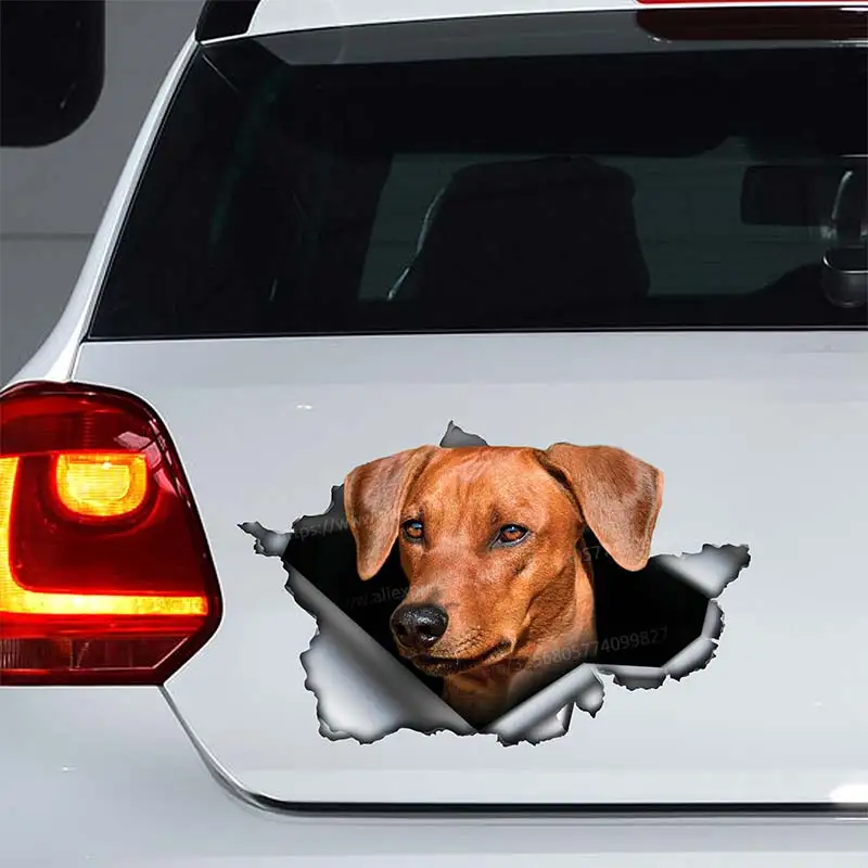 Pinscher Pet Dog Car Sticker Waterproof Vinyl Decal on Bumper Rear Window Laptop Animal Decal Car Accessories SH132
Pinscher Pet Dog Car Sticker Waterproof Vinyl Decal on Bumper Rear Window Laptop Animal Decal Car Accessories SH132