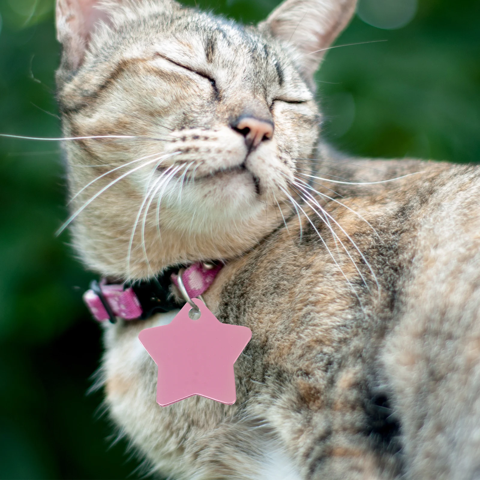 10 Pcs Pet ID Tags Aluminum Oxide Star Shape Bright Color Personalized Dog Charms Neck Tags Address Labels High Quality
10 Pcs Pet ID Tags Aluminum Oxide Star Shape Bright Color Personalized Dog Charms Neck Tags Address Labels High Quality