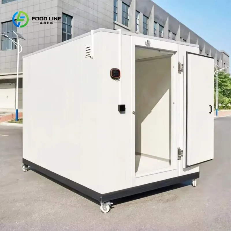 Mini Portable Cold Room Freezer with Monoblock Refrigeration Equipment for Ice Storage Mini Cold Room Custom
Mini Portable Cold Room Freezer with Monoblock Refrigeration Equipment for Ice Storage Mini Cold Room Custom