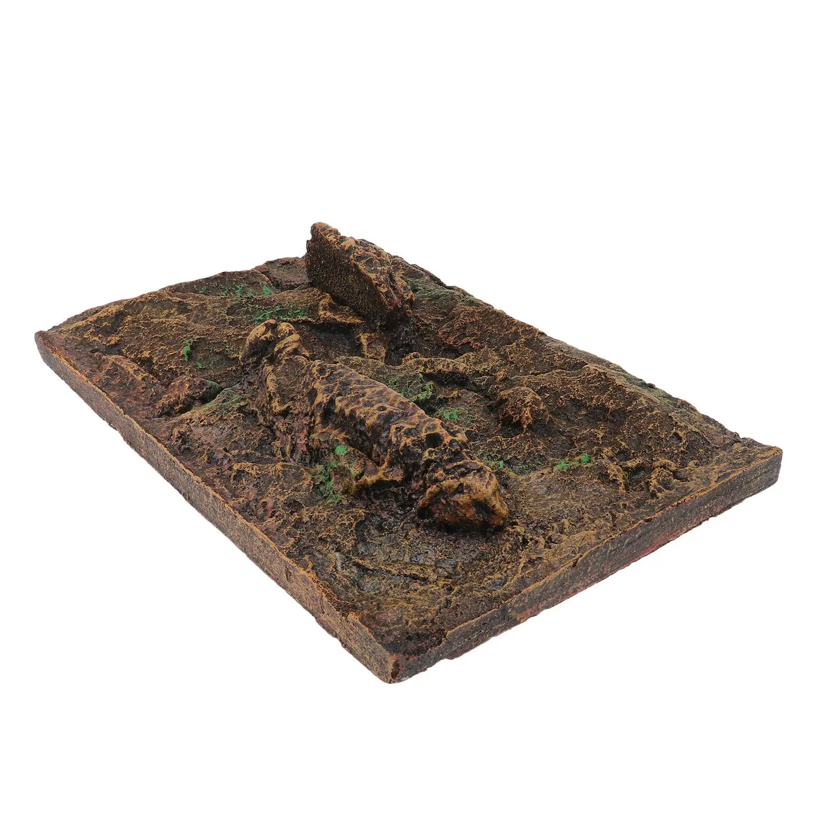 Climbing Pet Box Background Board Snake Tank Lizard for Reptile 3d Terrarium Decorate
Climbing Pet Box Background Board Snake Tank Lizard for Reptile 3d Terrarium Decorate