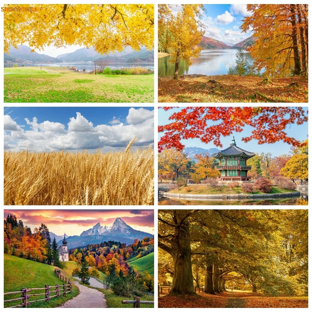 Autumn Scene Backdrop for Photography Fall Forest Fallen Leaves Natural Landscape Portrait Photocall Background Photo Studio
Autumn Scene Backdrop for Photography Fall Forest Fallen Leaves Natural Landscape Portrait Photocall Background Photo Studio