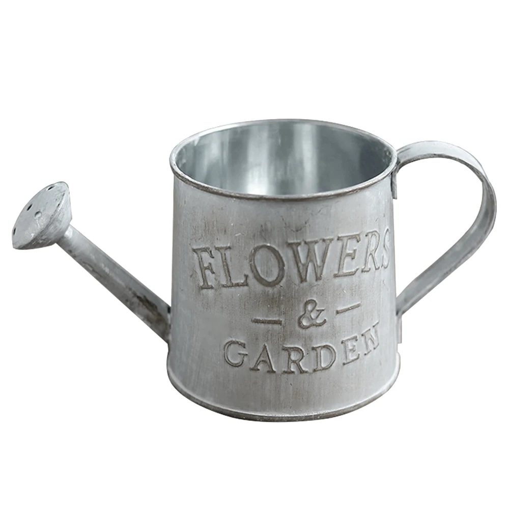 Water Pitcher Decorative Metal Bucket Flower Pot Farmhouse Pitchers for Home Rural Jug French Buckets Canisters
Water Pitcher Decorative Metal Bucket Flower Pot Farmhouse Pitchers for Home Rural Jug French Buckets Canisters