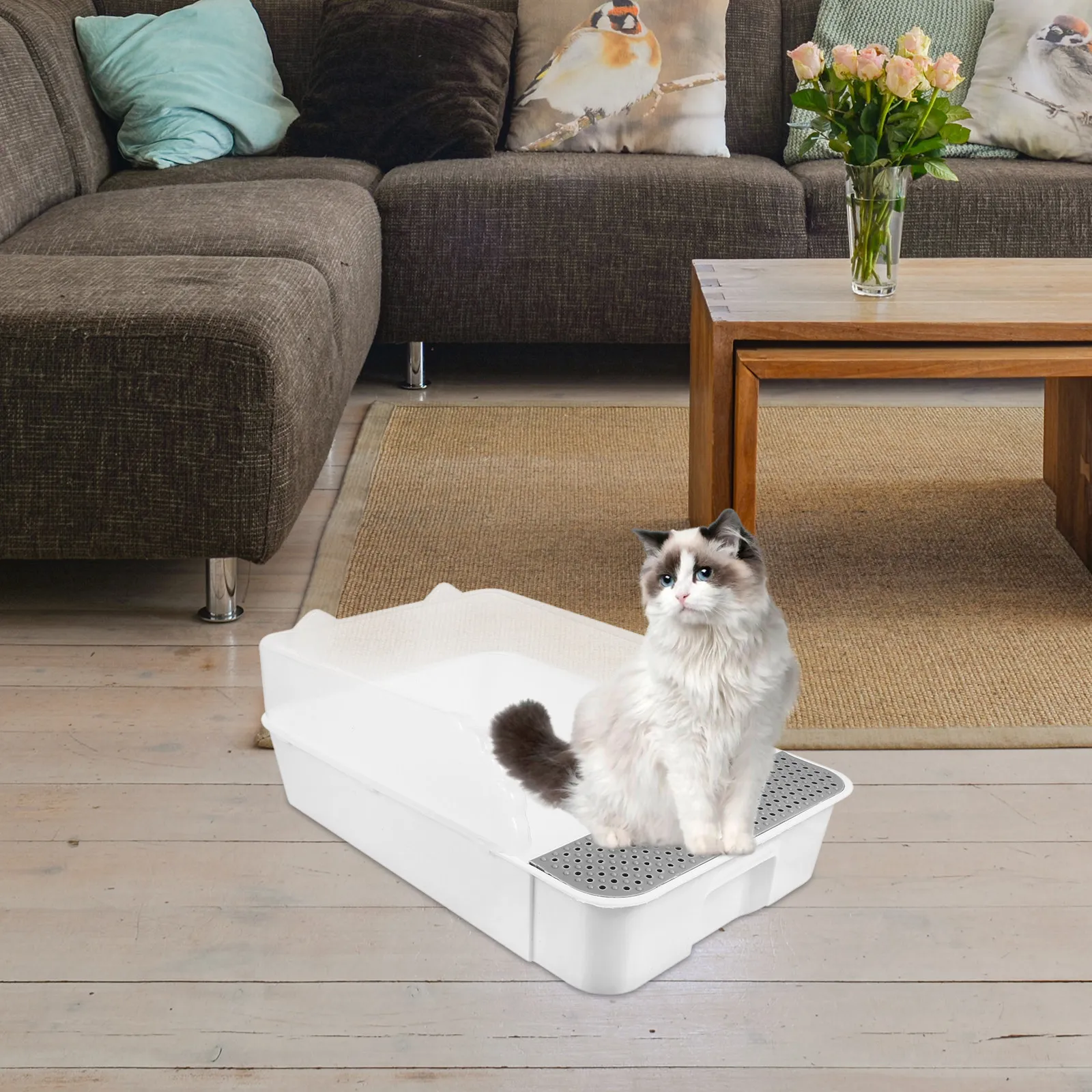Semi-Closed Detachable Cat Litter Pan Toilet for Home Use Splash-Resistant Heightened Fence Long-Lasting PP Construction Kitten
Semi-Closed Detachable Cat Litter Pan Toilet for Home Use Splash-Resistant Heightened Fence Long-Lasting PP Construction Kitten