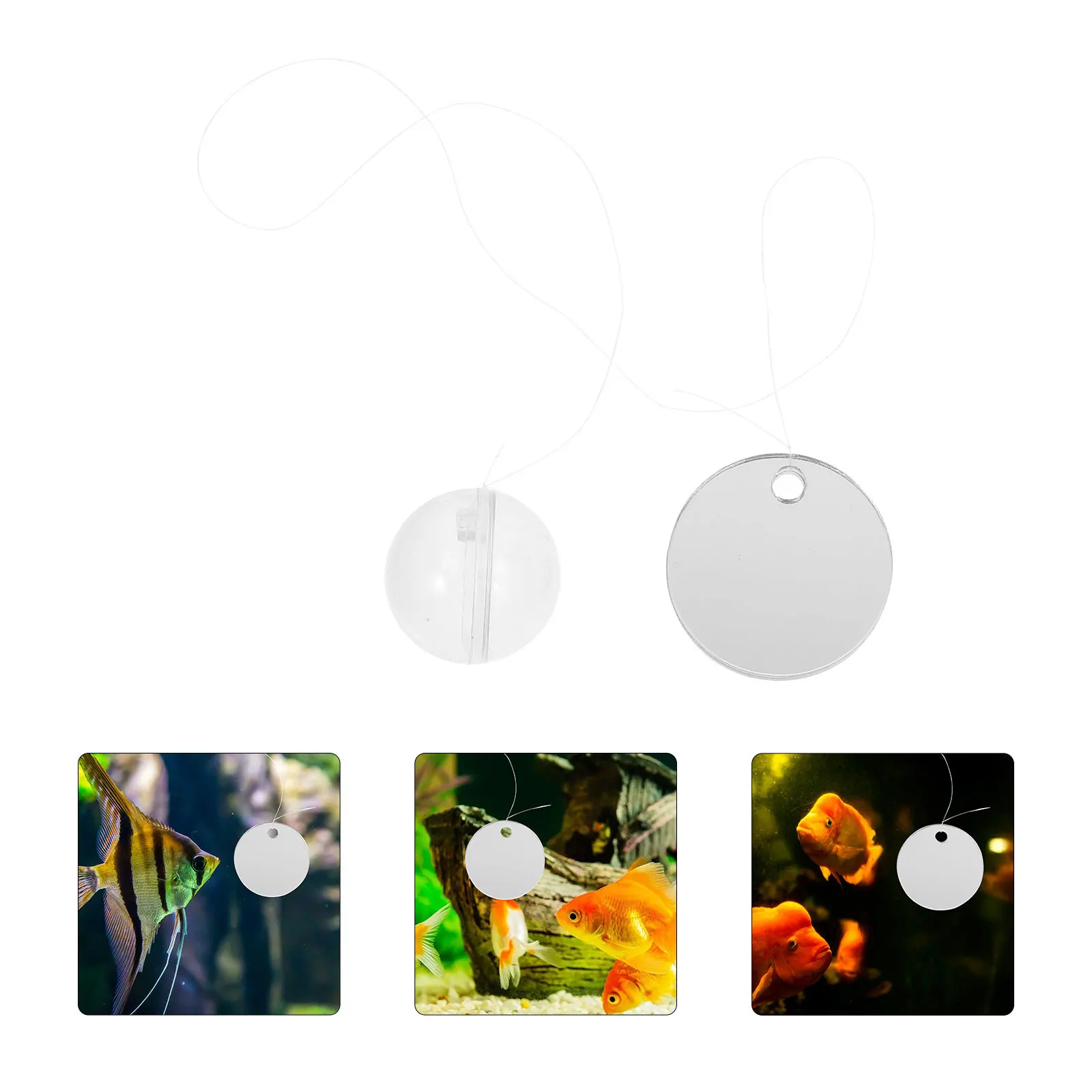 1Set Betta Fish Mirror Floating Aquarium Mirror for Tank Decoration Safe Acrylic Material Betta Training Tool Desktop Aquarium
1Set Betta Fish Mirror Floating Aquarium Mirror for Tank Decoration Safe Acrylic Material Betta Training Tool Desktop Aquarium