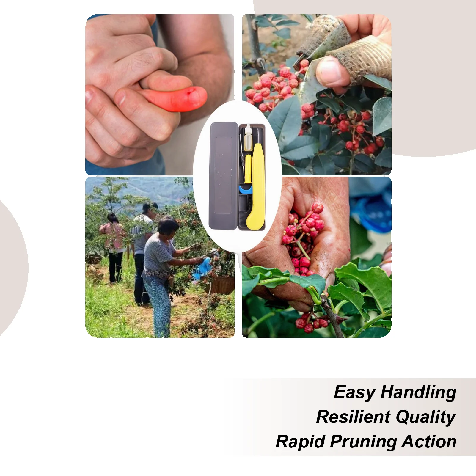 Садовые секаторы, ручные ножницы, садовые ножницы с изогнутой головкой для обрезки чая, ветка, цветочная роза, куст, садовница для травы
Садовые секаторы, ручные ножницы, садовые ножницы с изогнутой головкой для обрезки чая, ветка, цветочная роза, куст, садовница для травы