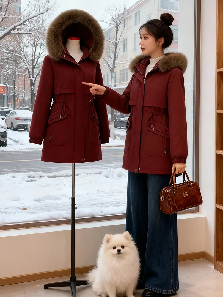 Korean Sle Commuter ort Jaet Women's Thiened Stand Collar down Cotton Coat Winter Faionable And Proper Coat
Korean Sle Commuter ort Jaet Women's Thiened Stand Collar down Cotton Coat Winter Faionable And Proper Coat