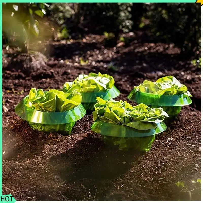 AWAH 10 шт., защитные чехлы для овощей, ошейник с улиткой, защита для сада
AWAH 10 шт., защитные чехлы для овощей, ошейник с улиткой, защита для сада