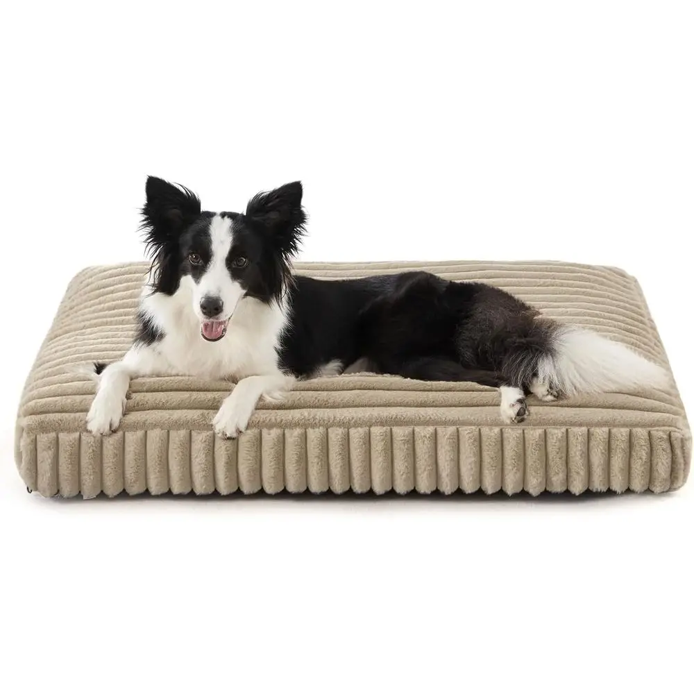 Large Dog Bed with Removable Cover, Washable, Thick Foam, Anti-Slip, 35x23x4 Beige
Large Dog Bed with Removable Cover, Washable, Thick Foam, Anti-Slip, 35x23x4 Beige