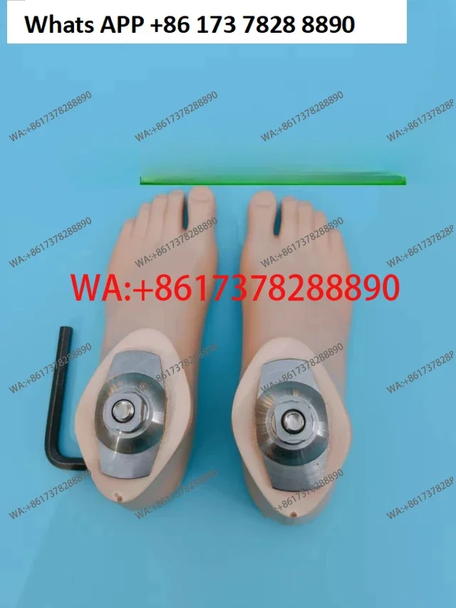 Аксессуары для протезания. Пластина для ног. Высококачественная статическая пластина для лодыжки. Длительный срок службы. Протезические конечности.
Аксессуары для протезания. Пластина для ног. Высококачественная статическая пластина для лодыжки. Длительный срок службы. Протезические конечности.