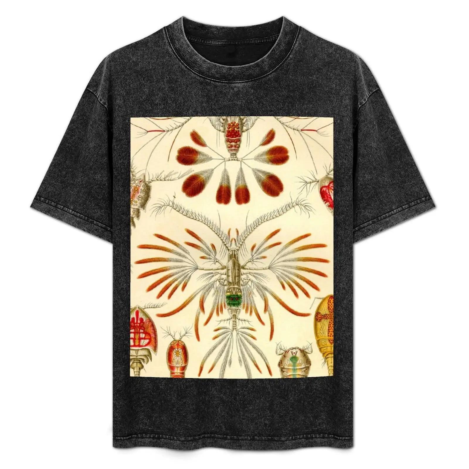 Copepoda - Ernst Haeckel T-Shirt Summer Holiday Casual Tee
Copepoda - Ernst Haeckel T-Shirt Summer Holiday Casual Tee