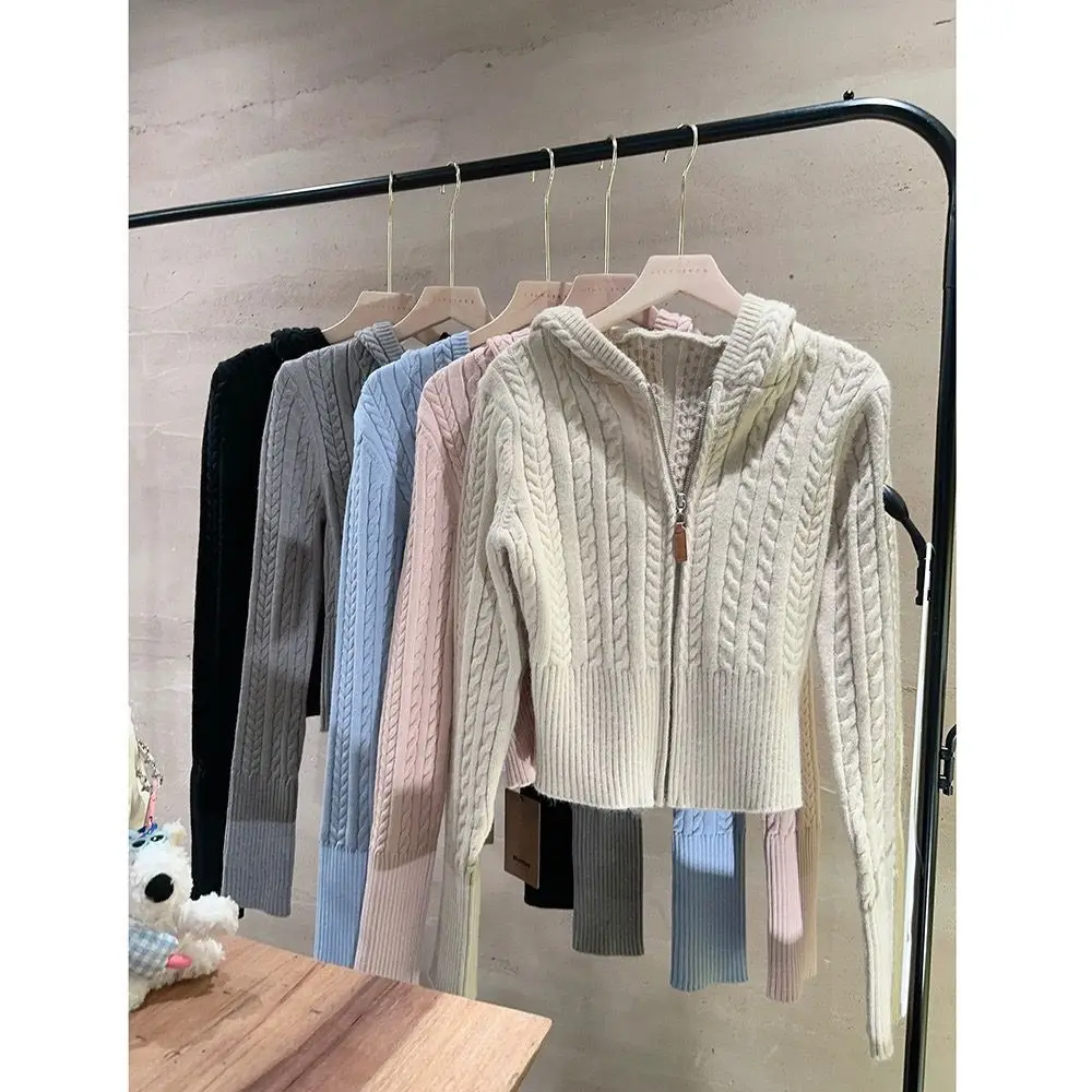 Korean Casual Short Knitted Zipper Hooded Sweater, Women's Spring And Autumn New Cardigan Top
Korean Casual Short Knitted Zipper Hooded Sweater, Women's Spring And Autumn New Cardigan Top