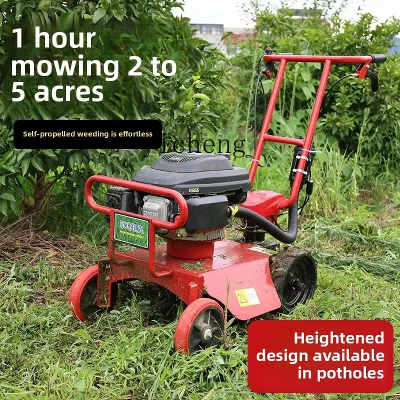 Power, lawn mower, self-propelled lawn mower, hand push lawn mower, orchard grass
Power, lawn mower, self-propelled lawn mower, hand push lawn mower, orchard grass