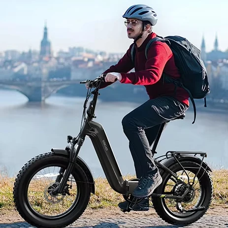 EU UK Stock 750W Folding Electric Bike: Hydraulic Brakes & Full Suspension Ebike
EU UK Stock 750W Folding Electric Bike: Hydraulic Brakes & Full Suspension Ebike