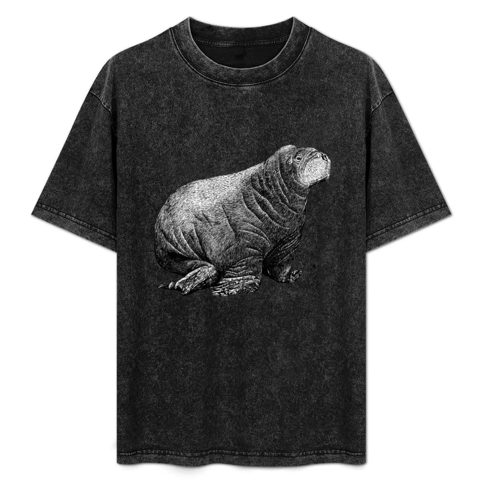 Walrus Calf T-Shirt Basic Crew Neck Short Sleeve Top
Walrus Calf T-Shirt Basic Crew Neck Short Sleeve Top