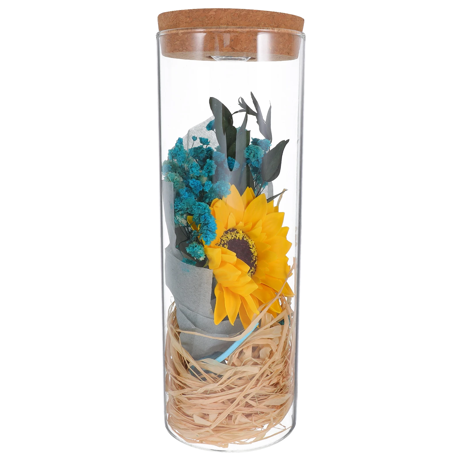 Wishing Bottle Forever Carnation Flower Carnations Eternal Flowers Gift LED Birthday Decor
Wishing Bottle Forever Carnation Flower Carnations Eternal Flowers Gift LED Birthday Decor
