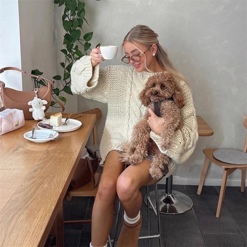 Cable Knit Pullover Sweater Chunky Loose Slouchy Vintage Slimming Warm Fall Winter Casual Outfit For Women Cozy Date Night Gift
Cable Knit Pullover Sweater Chunky Loose Slouchy Vintage Slimming Warm Fall Winter Casual Outfit For Women Cozy Date Night Gift