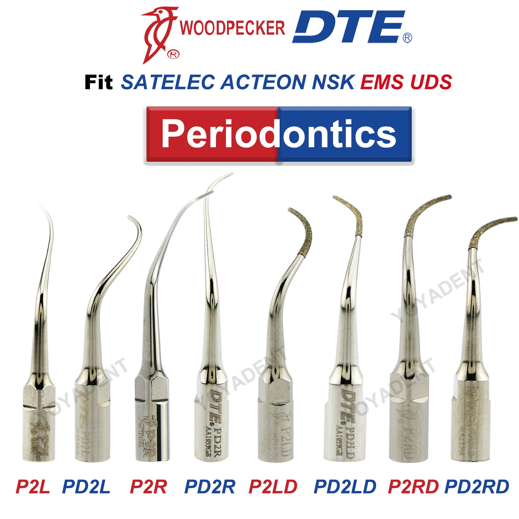 Woodpecker DTE Dental Ultrasonic Scaler Tips Dental Periodontics Tips Fit DTE NSK SATELEC Ultrasonic Scaler Handpiece
Woodpecker DTE Dental Ultrasonic Scaler Tips Dental Periodontics Tips Fit DTE NSK SATELEC Ultrasonic Scaler Handpiece