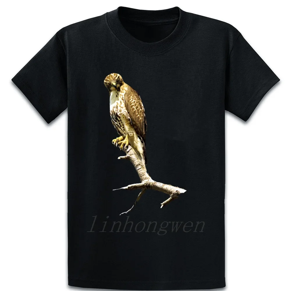 Футболка Red Tailed Hawks Perch, семейная футболка с персонализированным юмором и коротким рукавом, летняя стильная футболка большого размера, футболка из хлопка
Футболка Red Tailed Hawks Perch, семейная футболка с персонализированным юмором и коротким рукавом, летняя стильная футболка большого размера, футболка из хлопка
