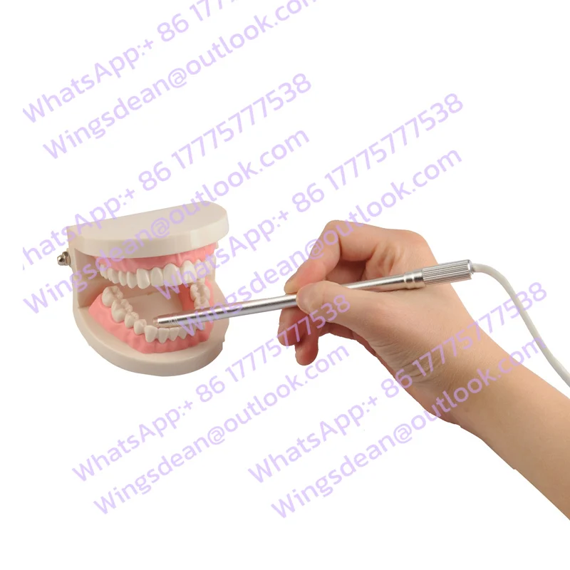 New Product 1-300X 7mm Waterproof Mini USB Microscope Otoscope ENT Endoscope with 2MP Sensor
New Product 1-300X 7mm Waterproof Mini USB Microscope Otoscope ENT Endoscope with 2MP Sensor