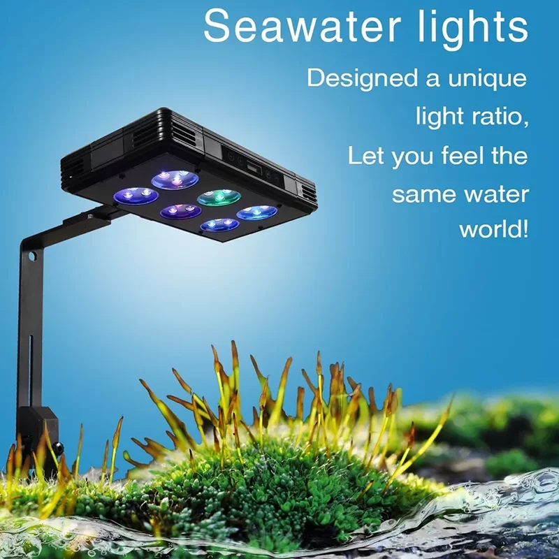 Aquarium Full Spectrum Led Light Simulated Sunrise and Sunset Lamp Seawater Coral Light Sea Tank Lighting Lamp Fishbowl Supplies
Aquarium Full Spectrum Led Light Simulated Sunrise and Sunset Lamp Seawater Coral Light Sea Tank Lighting Lamp Fishbowl Supplies